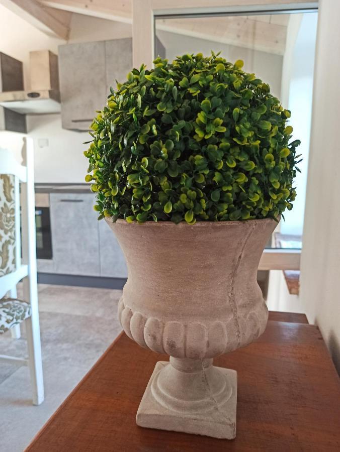 Agriturismo Podere Le Palaie Monterotondo  Ngoại thất bức ảnh