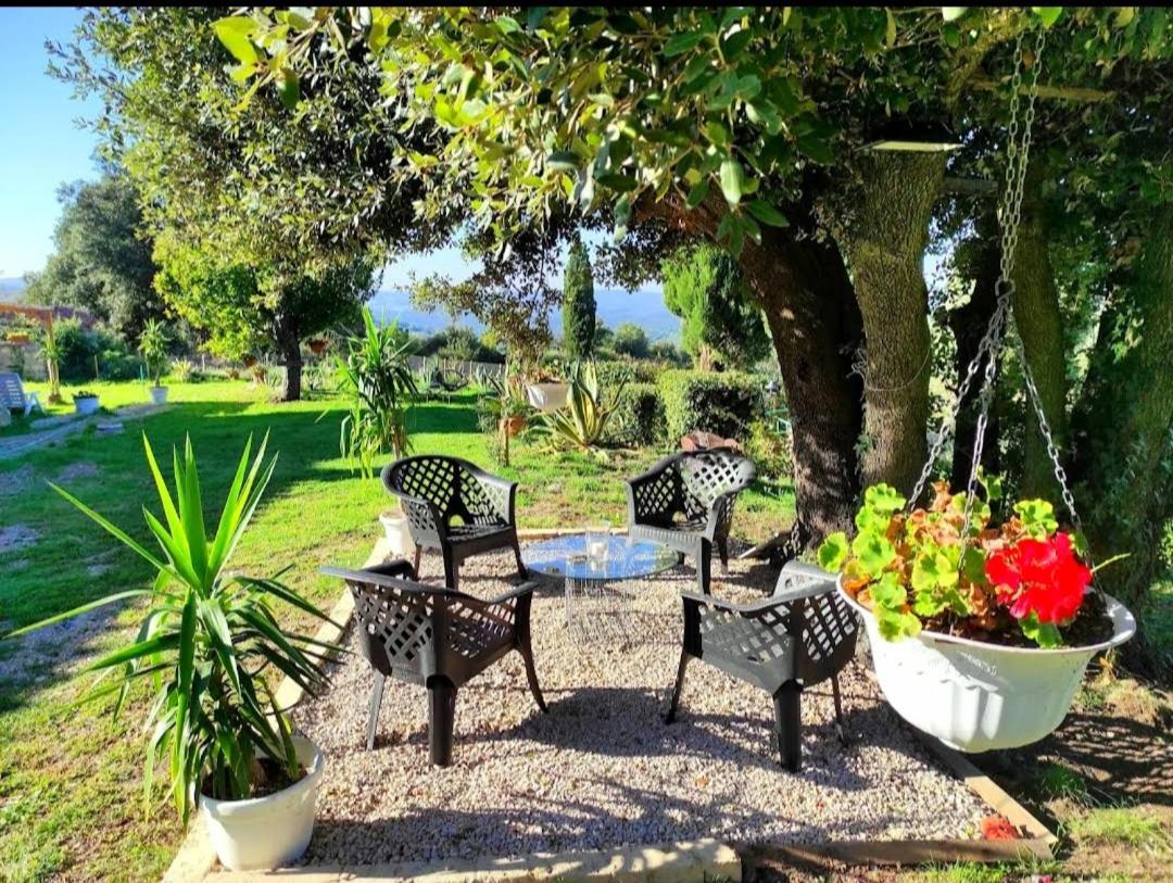 Agriturismo Podere Le Palaie Monterotondo  Ngoại thất bức ảnh